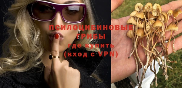твердый Армянск