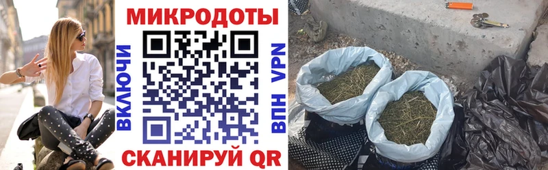 Галлюциногенные грибы MAGIC MUSHROOMS  сколько стоит  Туринск 